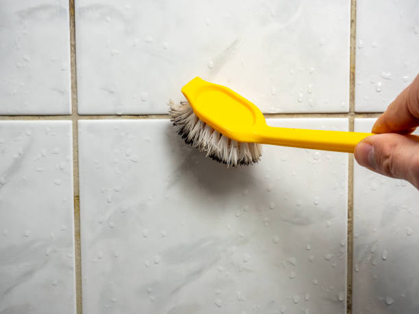  Olathe, KS Mold Removal Pros