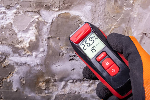Best Fast Mold Removal  in Olathe, KS