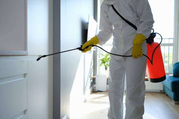 Crawl Space Mold Removal in Olathe, KS