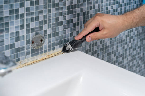 Best Best Mold Removal Companies  in Olathe, KS