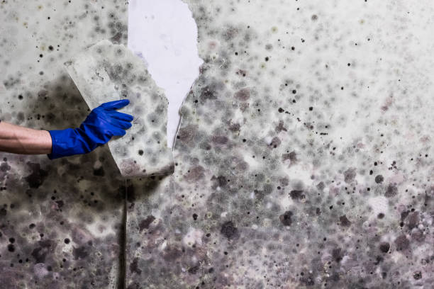 Water Damage Restoration in Olathe, KS